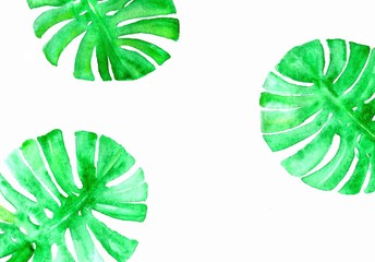Tropical green leaves watercolor painted background