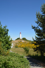 Fototapeta na wymiar Leuchtturm auf der Insel Hiddensee, Am Dornbusch