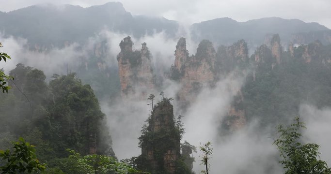 Zhangjiajie Forest Park. Gigantic pillar mountains rising from the canyon. Hunan province, China.