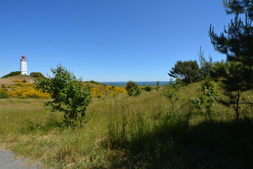 Leuchtturm auf der Insel Hiddensee, Am Dornbusch