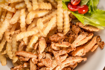 Greek gyros dis with fries and salad