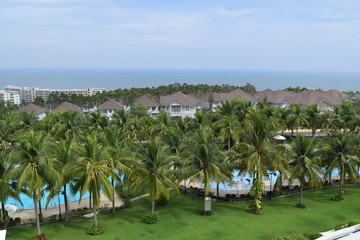 coconut plant and pool at resort in muine, vietnam