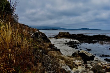 Deep Color in Carmel