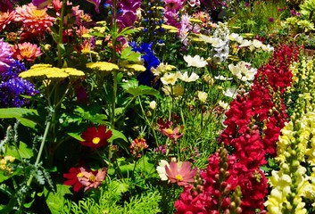 Pick a color.  Any Color.