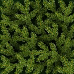 Christmas background Realistic branches of Christmas tree Vector