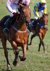 Race horse and Jockey and running on the race track