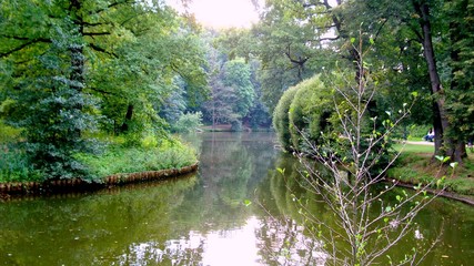 A river in a green park.