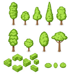 Isometric vector set of park plants, trees and bushes
