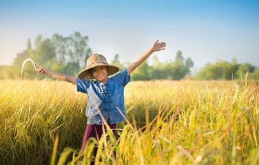 Girl with a sickle Happy in the yellow rice field.