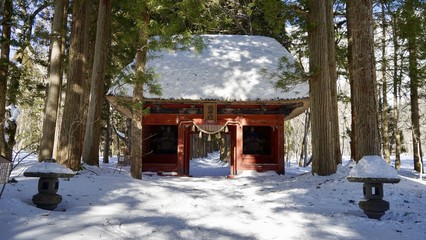 雪の降り積もった戸隠神社奥社参道の隋神門