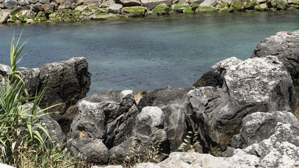 Clear and crystalline sea with rocks