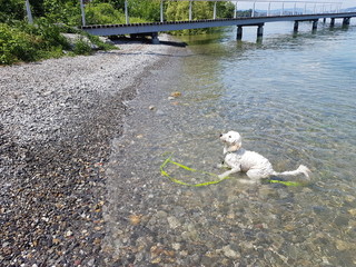 Catching Stones
