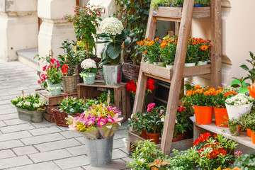 Outdoor flower shop or floral market with decorative bouquets and plants