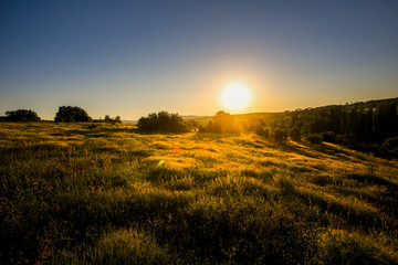 landscapes in the spring