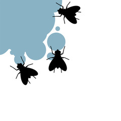 flies eating illustraiton