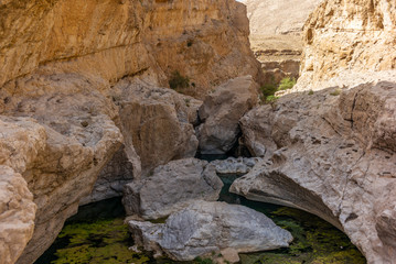 A stream of water in the rocky desert of Oman flowing in a canyon to the oasis of Wadi Bani Khalid - 8