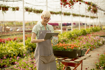 Obraz premium Senior woman using tablet in flower garden