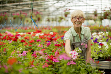 Senior woman working in greengarden