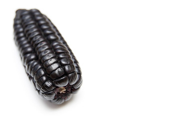 Purple corn isolated on white background