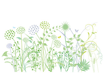 Gräser, Kräutern, Pflanzen, Illustration