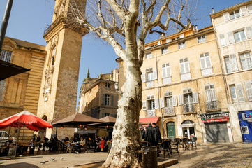 The trunk of a bare tree in the square.
