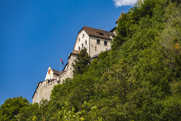 Fototapeta na wymiar Vaduz Castle in Liechtenstein