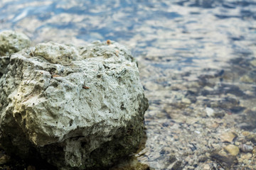 Clean water in the river with a lot of stones under the water. Transparent cold water