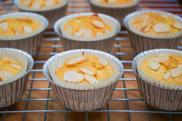 durian butter cake with almond slides