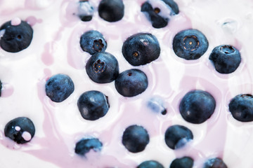Ripe Blueberries in natural yoghurt. natural products background
