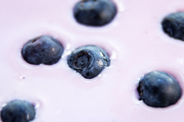 Ripe Blueberries in natural yoghurt. natural products background