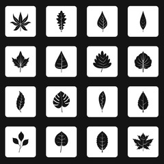 Plant leafs icons set in white squares on black background simple style vector illustration
