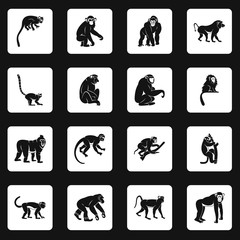 Fototapeta premium Monkey types icons set in white squares on black background simple style vector illustration