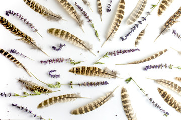 pattern with herbs and feathers, top view