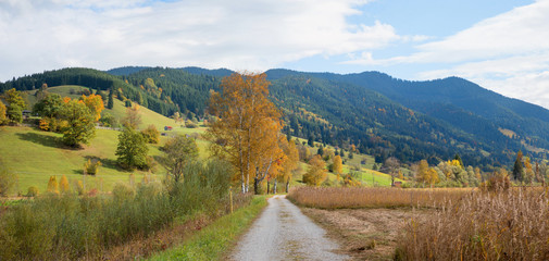 herbstlicher Spazierweg bei Unterammergau, grüne Hügel und Moorlandschaft