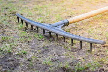 Garden rakes on the grass in the spring or summer garden.