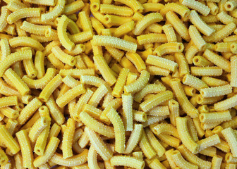macaroni made with fresh eggs
