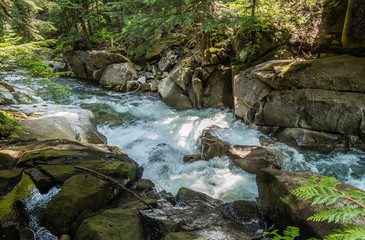 Denny Creek Whitewater 3