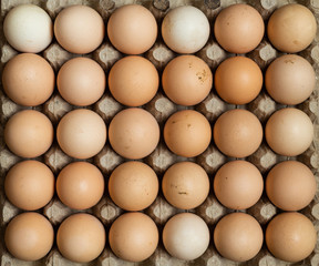 Overhead view of free range organic chicken eggs in tray. Some eggs are dirty. 