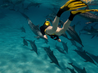 A young women free diving with dolphins