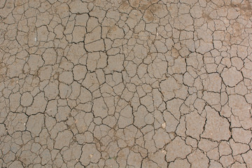 Cracked ground due to drought 