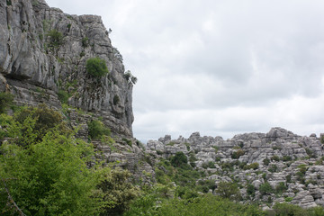 A landscape of limestone formations from the Jurassic era 