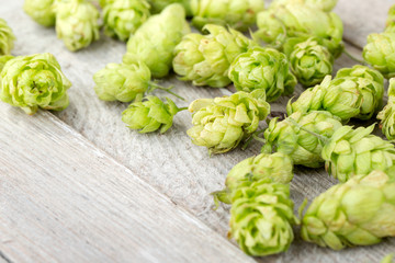 Fresh green hop on a wooden table