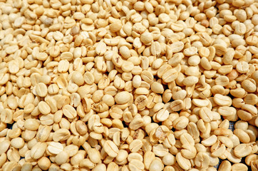 Dry coffee bean process in factory