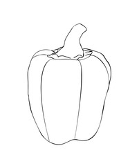 Vector illustration, isolated sweet Bulgarian pepper in black and white colors, outline hand painted drawing