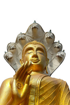 Standing buddha on white background.