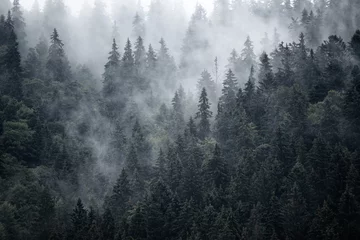 Türaufkleber Grau Neblige Landschaft mit Tannenwald im Hipster-Vintage-Retro-Stil
