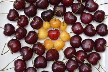 Italy, Puglia region. Big fresh cherries typical of the region. Quality called 