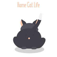 Lying cat rear view color flat icon