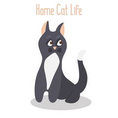 A cute cat sits on the floor color flat icon