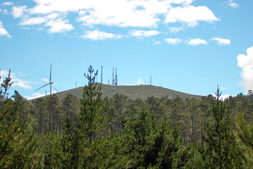 paisaje con vegetación, árboles, aerogenerador y antenas de radio